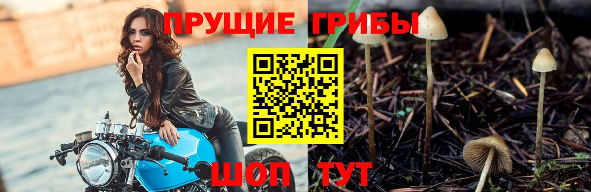 Псилоцибиновые грибы Magic Shrooms  Вход с VPN  Куйбышев 